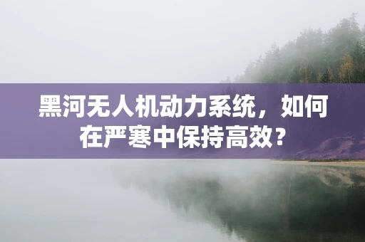 黑河无人机动力系统，如何在严寒中保持高效？