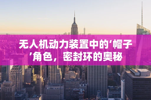 无人机动力装置中的‘帽子’角色，密封环的奥秘