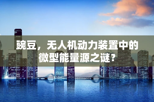 豌豆，无人机动力装置中的微型能量源之谜？