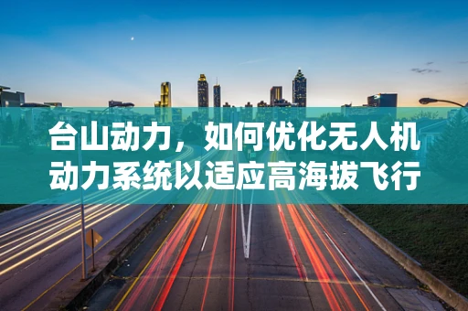 台山动力，如何优化无人机动力系统以适应高海拔飞行？