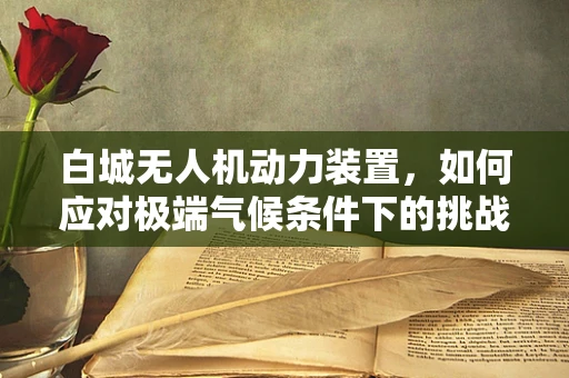 白城无人机动力装置，如何应对极端气候条件下的挑战？