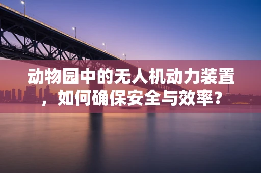 动物园中的无人机动力装置，如何确保安全与效率？
