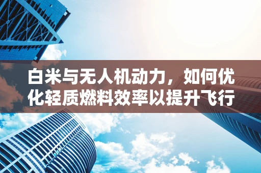 白米与无人机动力，如何优化轻质燃料效率以提升飞行性能？