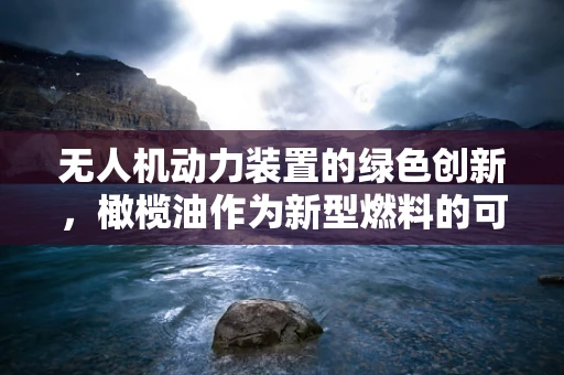 无人机动力装置的绿色创新，橄榄油作为新型燃料的可能性？