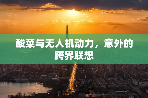 酸菜与无人机动力，意外的跨界联想