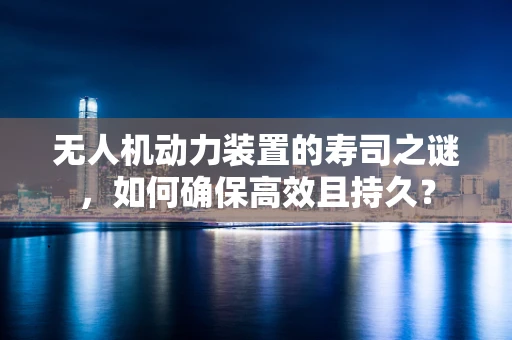 无人机动力装置的寿司之谜，如何确保高效且持久？