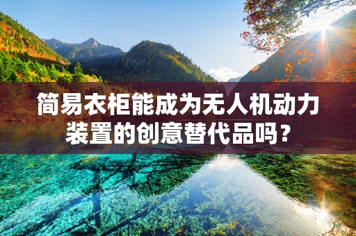简易衣柜能成为无人机动力装置的创意替代品吗？