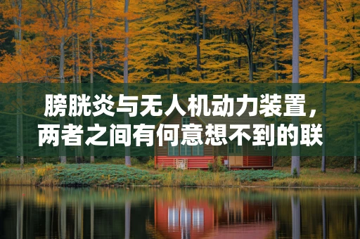 膀胱炎与无人机动力装置，两者之间有何意想不到的联系？