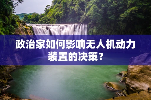 政治家如何影响无人机动力装置的决策？