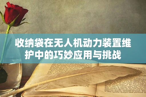 收纳袋在无人机动力装置维护中的巧妙应用与挑战