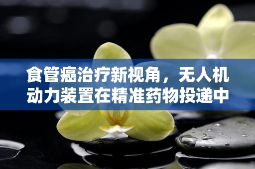 食管癌治疗新视角，无人机动力装置在精准药物投递中的应用挑战
