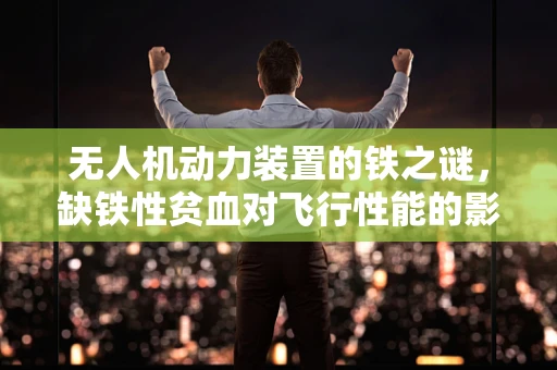 无人机动力装置的铁之谜，缺铁性贫血对飞行性能的影响