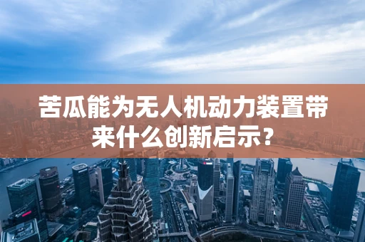 苦瓜能为无人机动力装置带来什么创新启示？