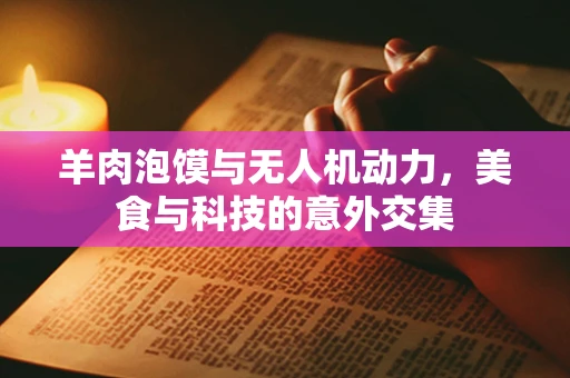 羊肉泡馍与无人机动力，美食与科技的意外交集