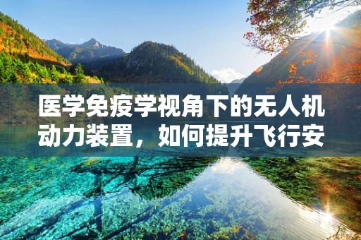 医学免疫学视角下的无人机动力装置，如何提升飞行安全与健康保障？