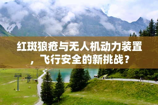 红斑狼疮与无人机动力装置，飞行安全的新挑战？