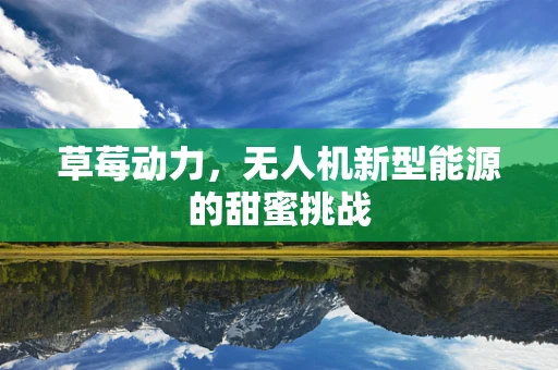草莓动力，无人机新型能源的甜蜜挑战