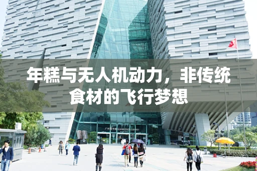 年糕与无人机动力，非传统食材的飞行梦想