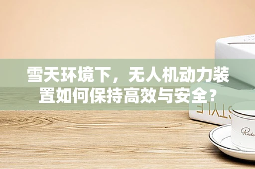 雪天环境下，无人机动力装置如何保持高效与安全？