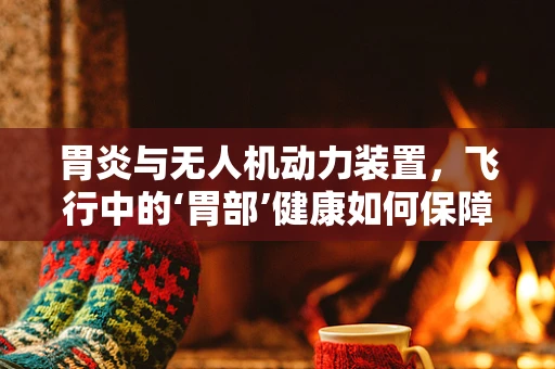 胃炎与无人机动力装置，飞行中的‘胃部’健康如何保障？