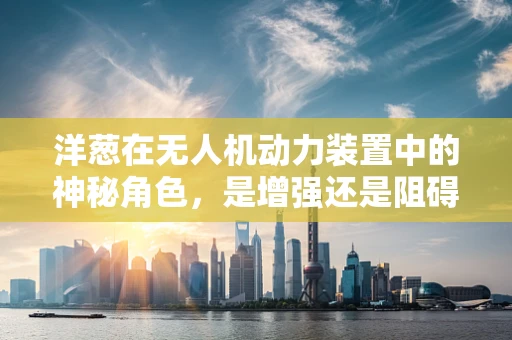 洋葱在无人机动力装置中的神秘角色，是增强还是阻碍？