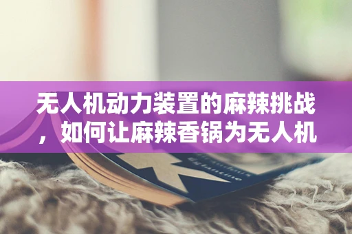 无人机动力装置的麻辣挑战，如何让麻辣香锅为无人机提供动力？