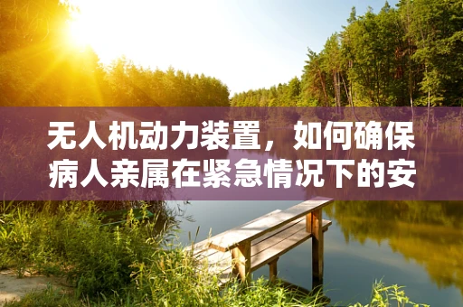 无人机动力装置，如何确保病人亲属在紧急情况下的安全传输？