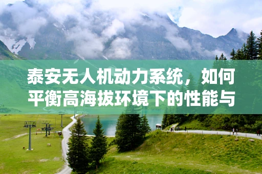泰安无人机动力系统，如何平衡高海拔环境下的性能与效率？