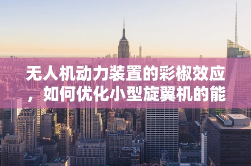 无人机动力装置的彩椒效应，如何优化小型旋翼机的能源效率？