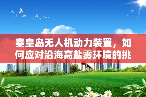 秦皇岛无人机动力装置，如何应对沿海高盐雾环境的挑战？