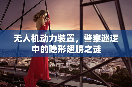 无人机动力装置，警察巡逻中的隐形翅膀之谜