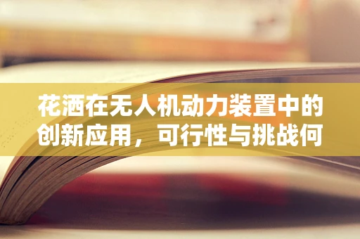 花洒在无人机动力装置中的创新应用，可行性与挑战何在？