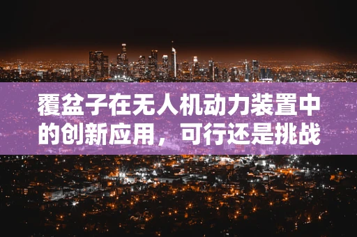 覆盆子在无人机动力装置中的创新应用，可行还是挑战？