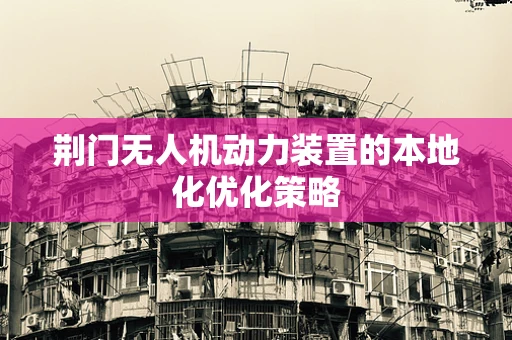 荆门无人机动力装置的本地化优化策略