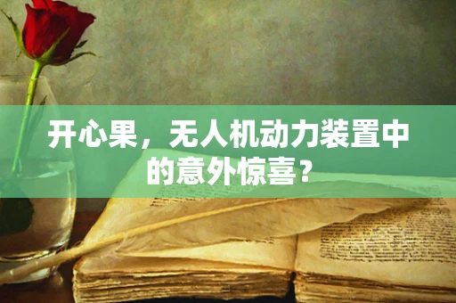 开心果，无人机动力装置中的意外惊喜？