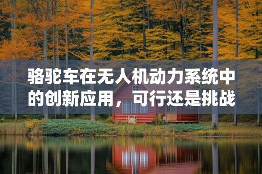 骆驼车在无人机动力系统中的创新应用，可行还是挑战？