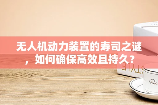 无人机动力装置的寿司之谜，如何确保高效且持久？