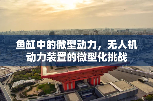 鱼缸中的微型动力，无人机动力装置的微型化挑战