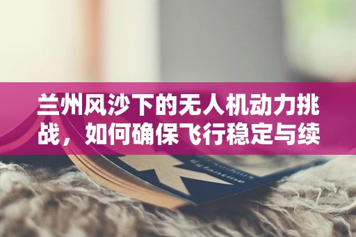 兰州风沙下的无人机动力挑战，如何确保飞行稳定与续航？