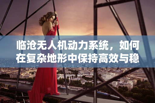 临沧无人机动力系统，如何在复杂地形中保持高效与稳定？