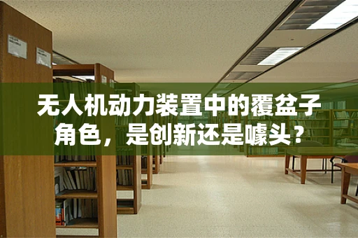 无人机动力装置中的覆盆子角色，是创新还是噱头？
