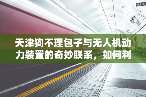 天津狗不理包子与无人机动力装置的奇妙联系，如何利用其原理提升飞行效率？