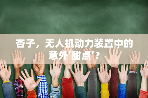 杏子，无人机动力装置中的意外‘甜点’？