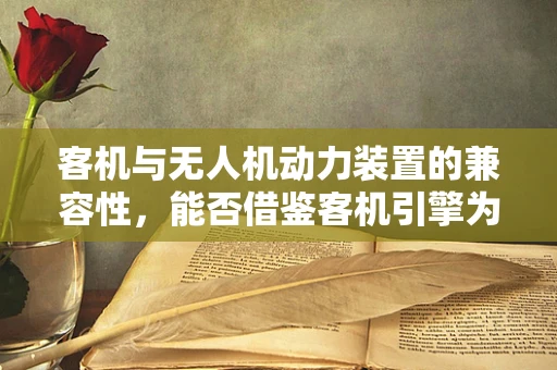 客机与无人机动力装置的兼容性，能否借鉴客机引擎为无人机提供动力？