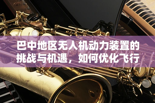 巴中地区无人机动力装置的挑战与机遇，如何优化飞行性能与成本控制？