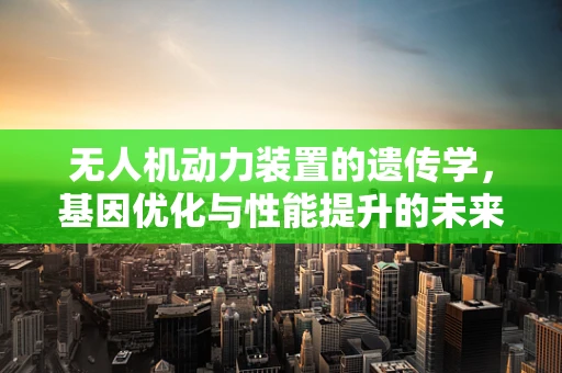 无人机动力装置的遗传学，基因优化与性能提升的未来之路？