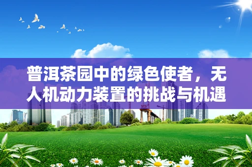 普洱茶园中的绿色使者，无人机动力装置的挑战与机遇