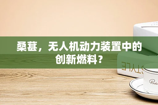 桑葚，无人机动力装置中的创新燃料？