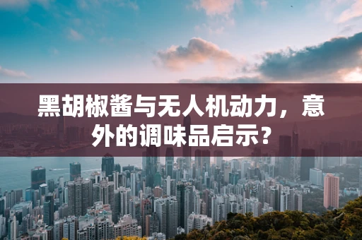 黑胡椒酱与无人机动力，意外的调味品启示？