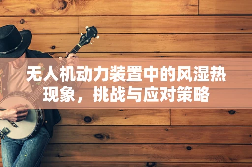 无人机动力装置中的风湿热现象，挑战与应对策略